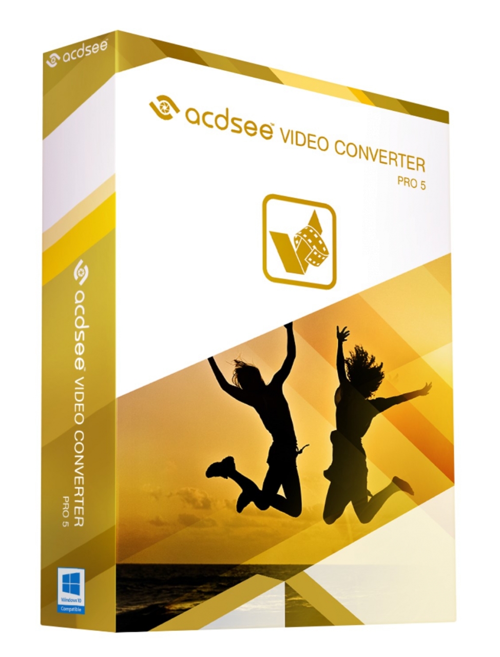 ACDSee Video Converter Pro 5 de 1 usuário